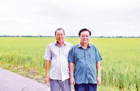 Trồng lúa 4.0 là làm kiểu gì mà ở Đồng Tháp, nông dân nói 