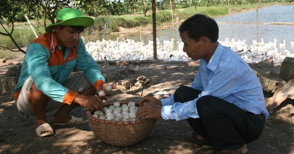 Từ nâng cao nhận thức đến cơ chế kích cầu