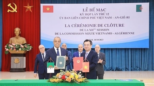 Deepening economic relations and friendly cooperation between Vietnam and Algeria