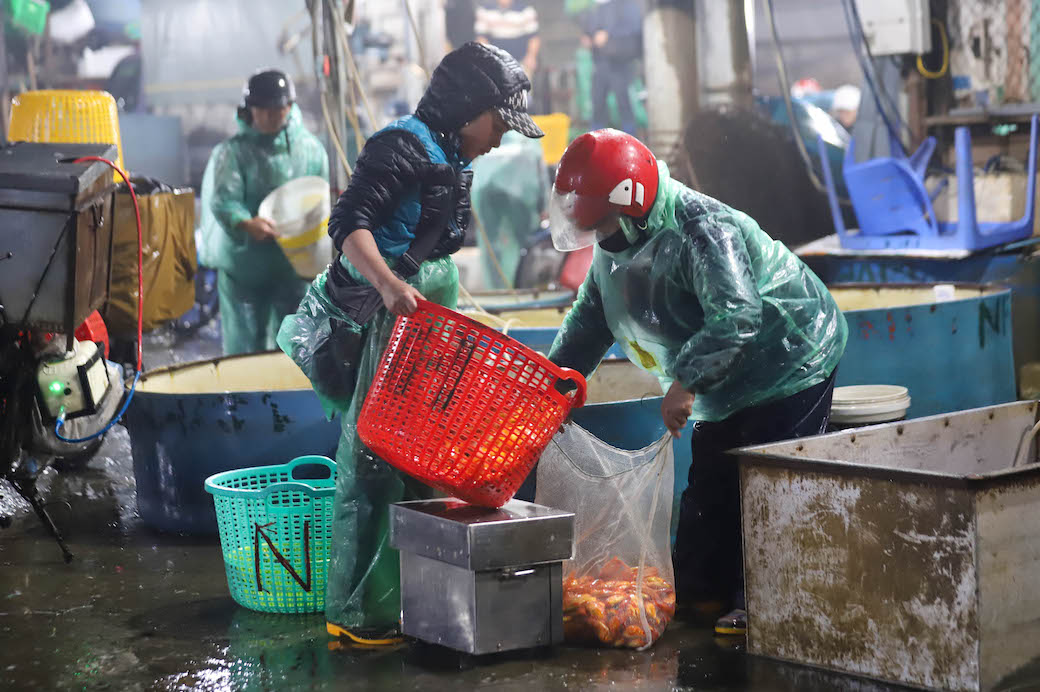 多くの業者は、低価格を利用して、台所神祭り用の金魚を選びます。写真: プー寺院