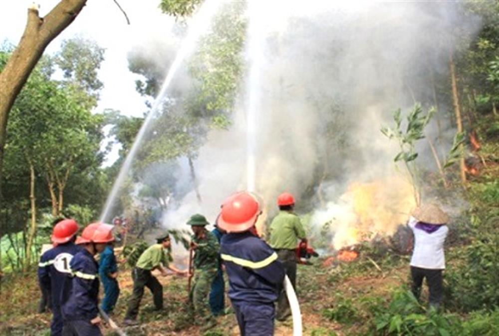 Fortalecer las medidas urgentes para prevenir y combatir los incendios forestales.