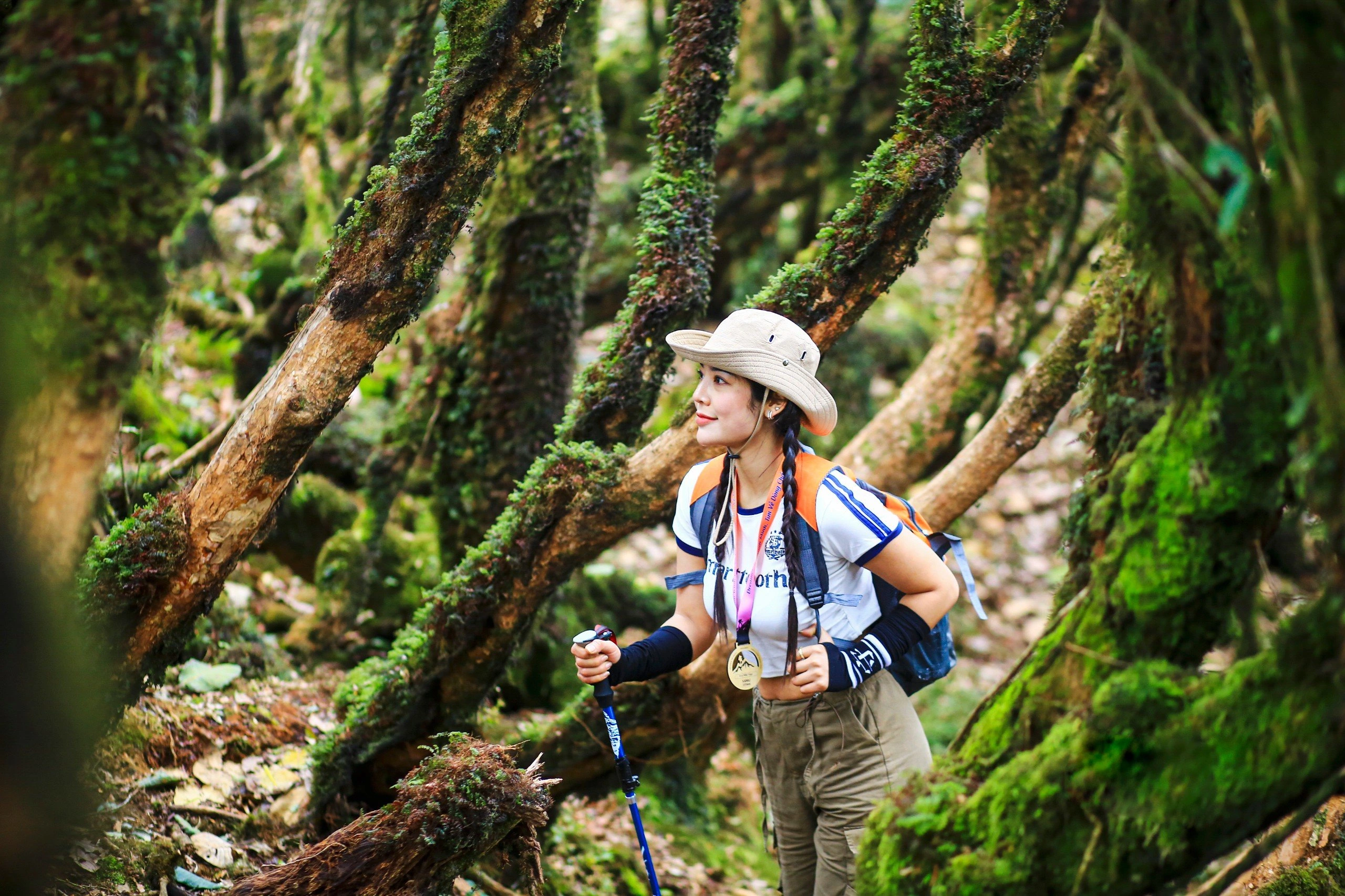 Admirez la forêt primitive digne d'un conte de fées au nouveau sommet de la montagne à Ta Xua