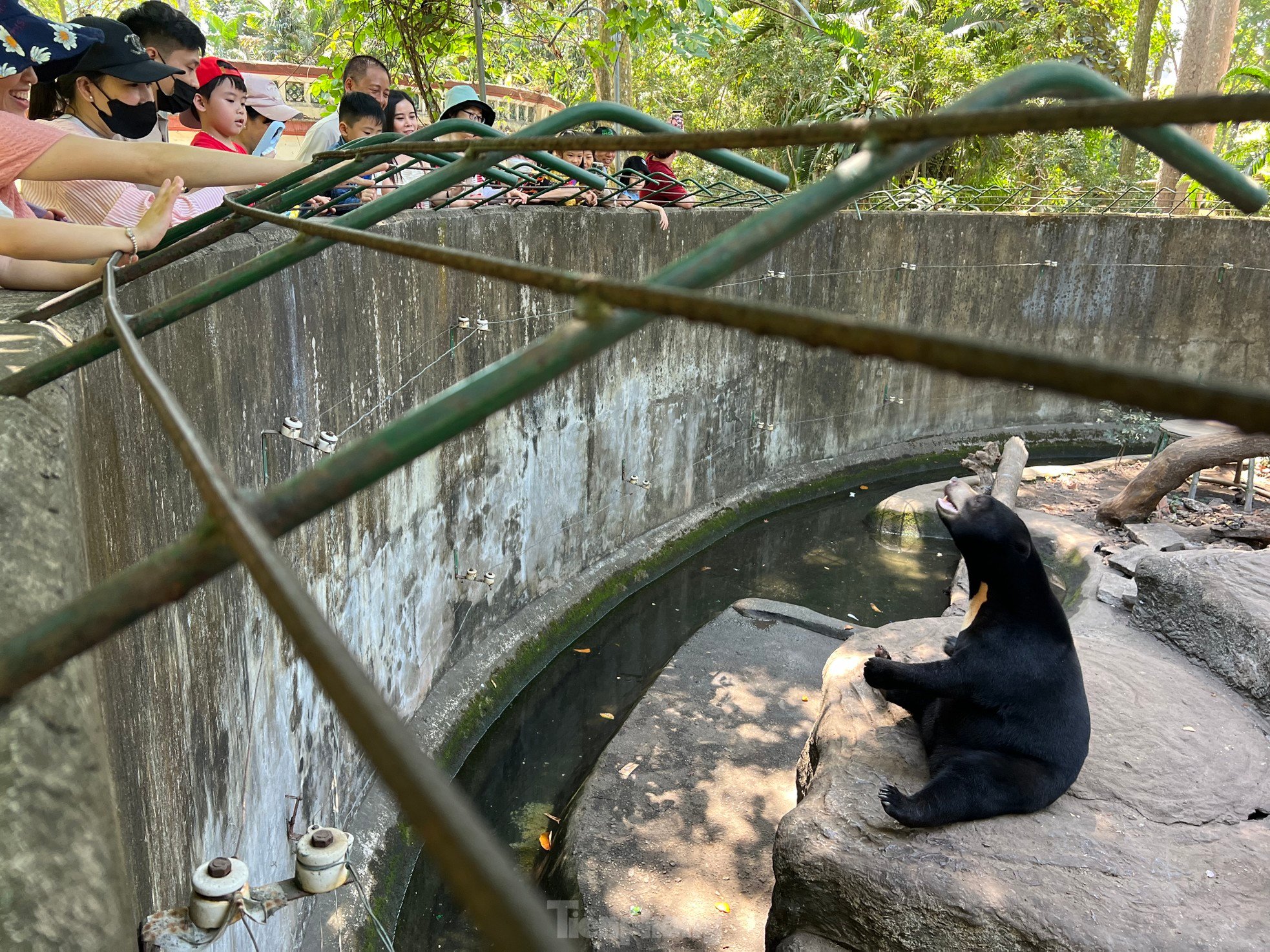 ホーチミン市動物園で偶然クマに遭遇…アイスクリームを食べている写真1