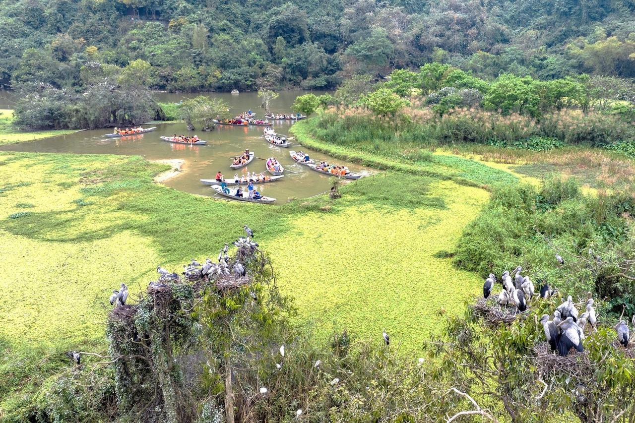 Ngắm vẻ đẹp hoang dã các loài chim ở Thung Nham - 15