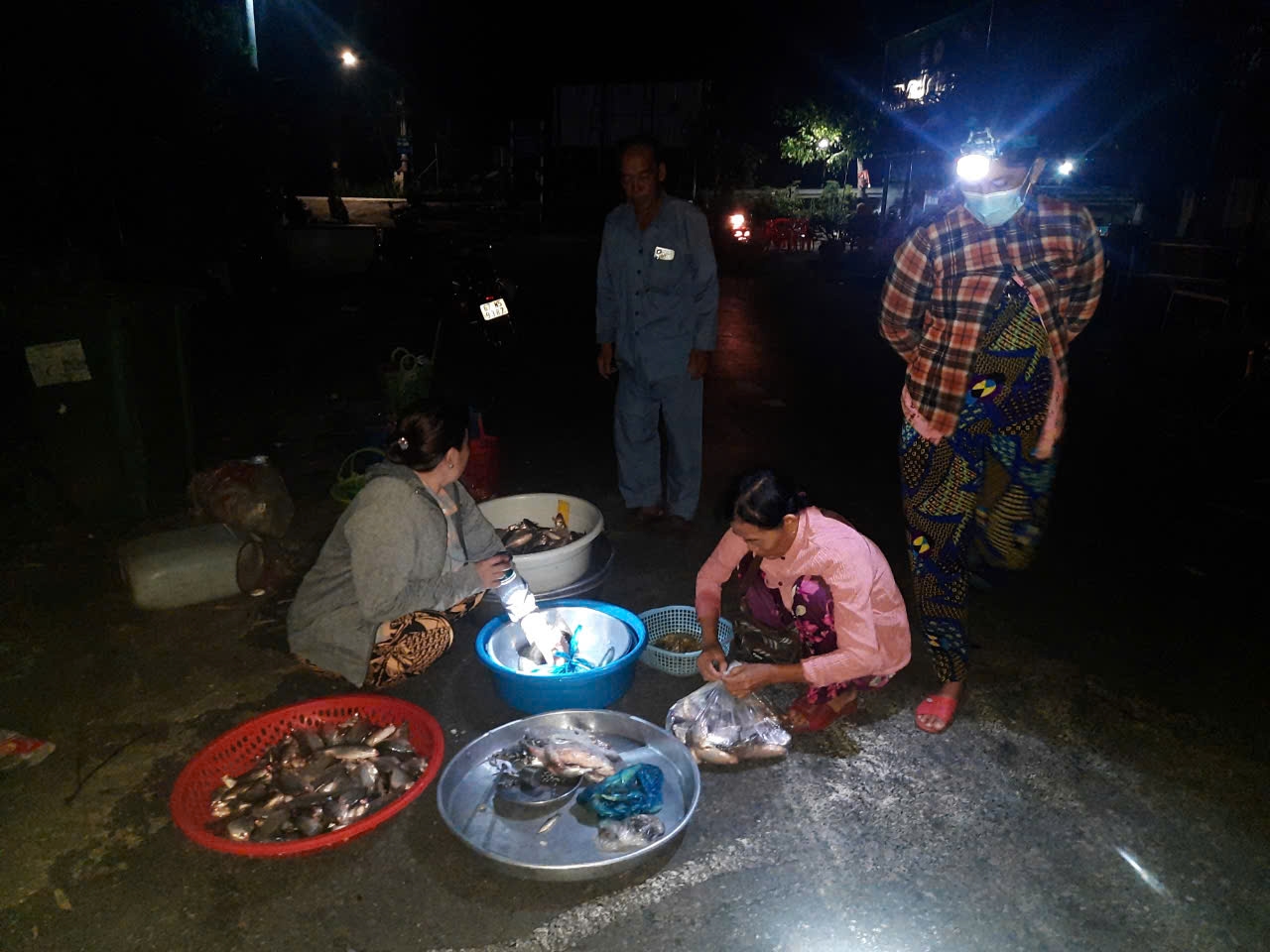 Mua bán cá đồng ở 
