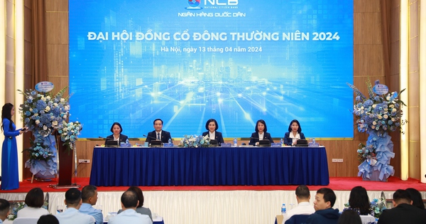 NCB tăng vốn điều lệ hơn gấp đôi, tái cơ cấu toàn diện ngân hàng trong 2024