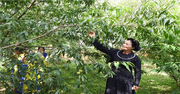 Chi Lang District (Lang Son) with National Target Program 1719: Solving urgent issues for women and children (Last article)