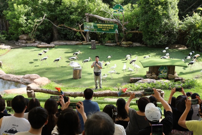 يقوم موظفو الحفاظ على الحيوانات شبه البرية في Vinpearl Safari Phu Quoc بتقديم الحيوانات النادرة. الصورة: ها ماي