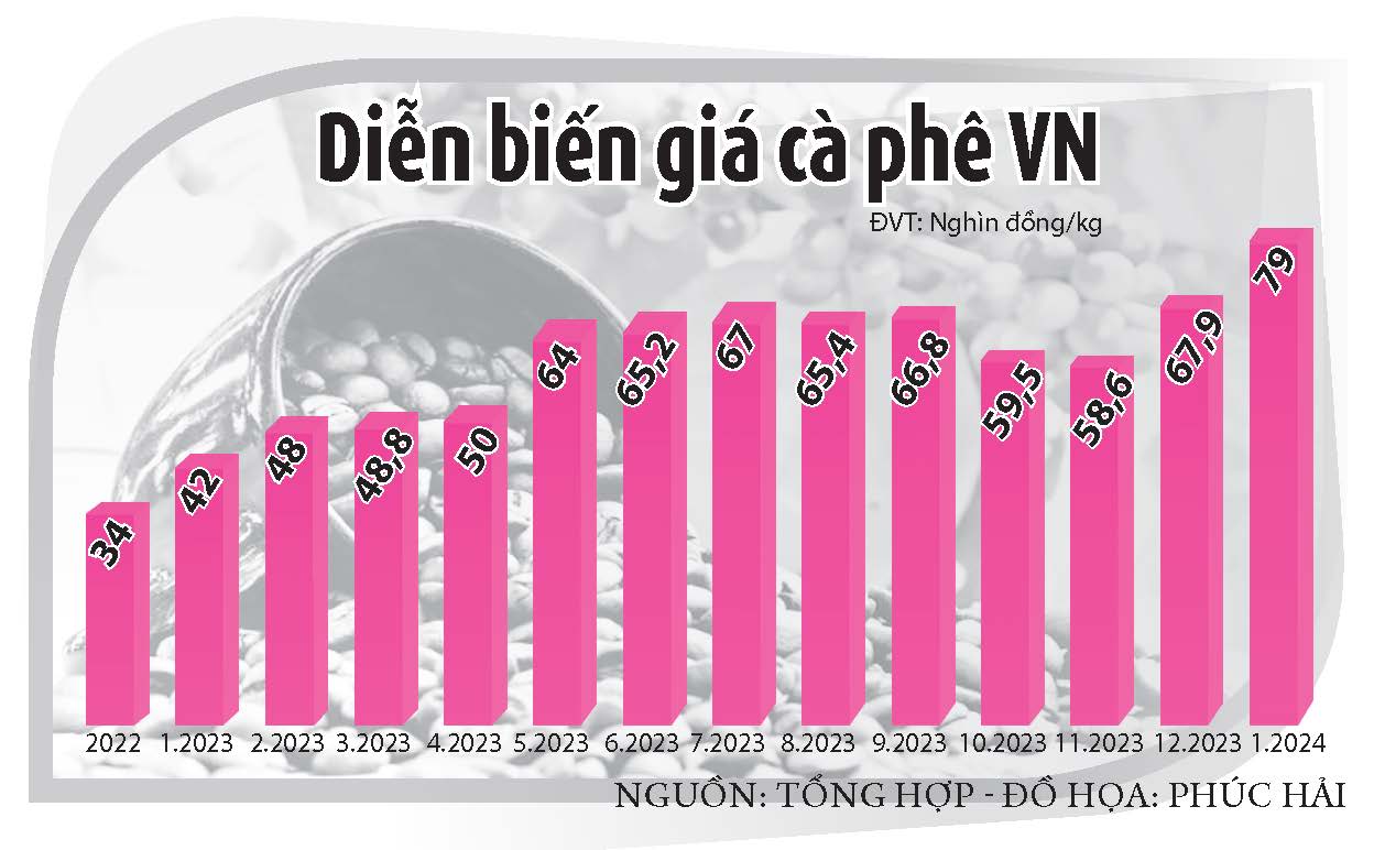 Cà phê Việt 'vẽ' lại thị trường thế giới- Ảnh 3.