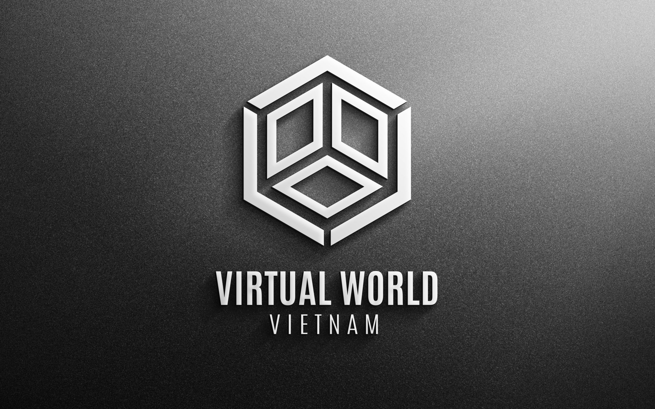 viirtual-world-vietnam