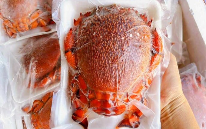 Los cangrejos emperador en la tienda de la Sra. Lan están envasados ​​al vacío. Foto: Le Lan