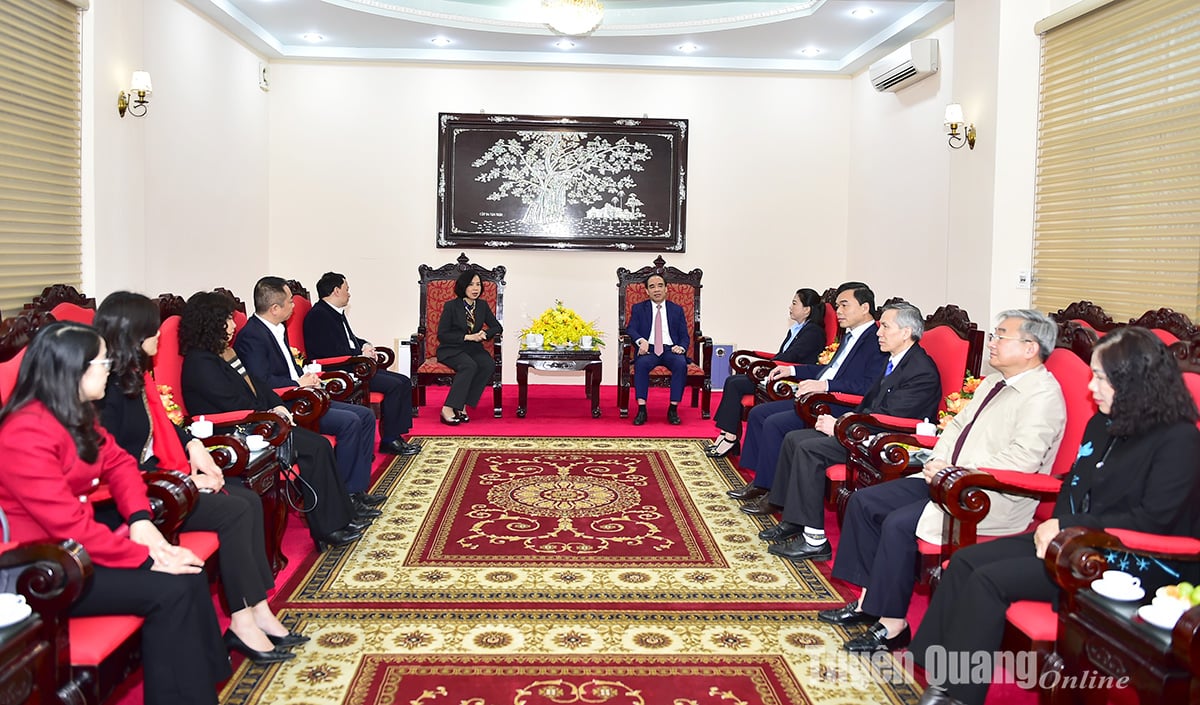 Strengthening coordination between Vietnam News Agency and Quang Ngai Province image 1