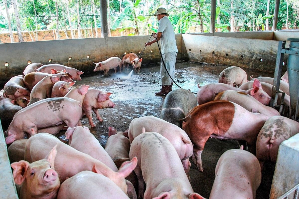 เตรียมพร้อมรับเทศกาลตรุษจีนอย่างปลอดภัยและมีคุณภาพ