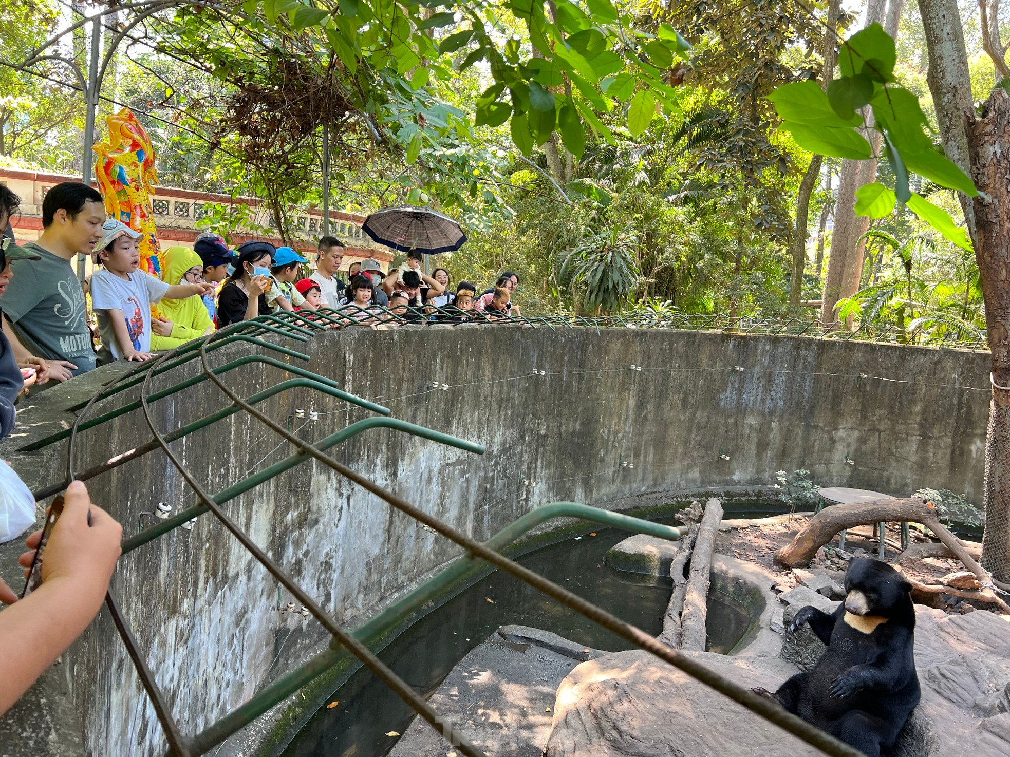 ホーチミン市動物園で偶然クマに遭遇…アイスクリームを食べている写真2