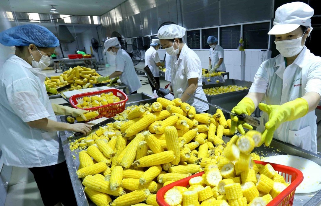 Singapour renforce le contrôle des importations alimentaires pour protéger les consommateurs nationaux