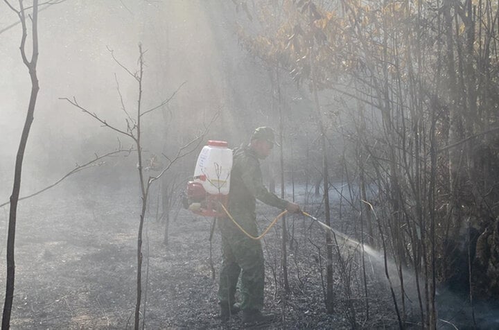 Les autorités éteignent un incendie en bordure du parc national de Phu Quoc. (Photo : garde-frontière de Kien Giang)