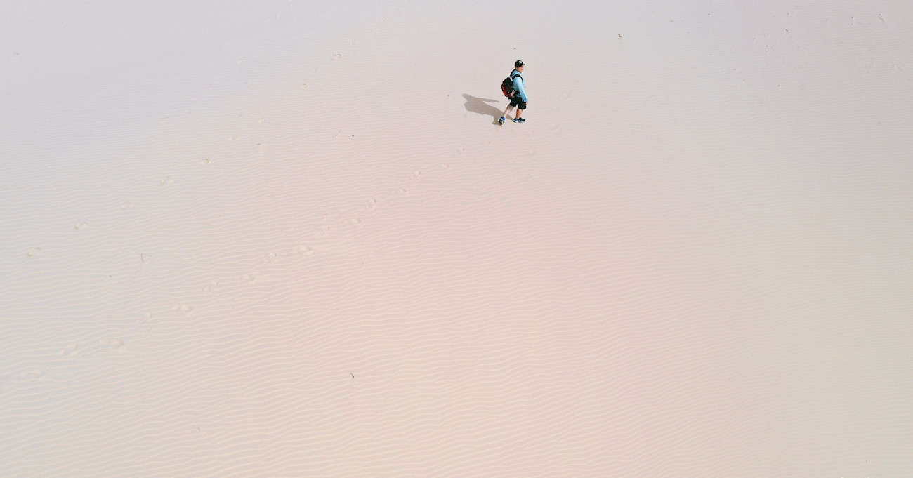 Vietnam tiene 11,8 millones de hectáreas de tierra afectadas por la desertificación.