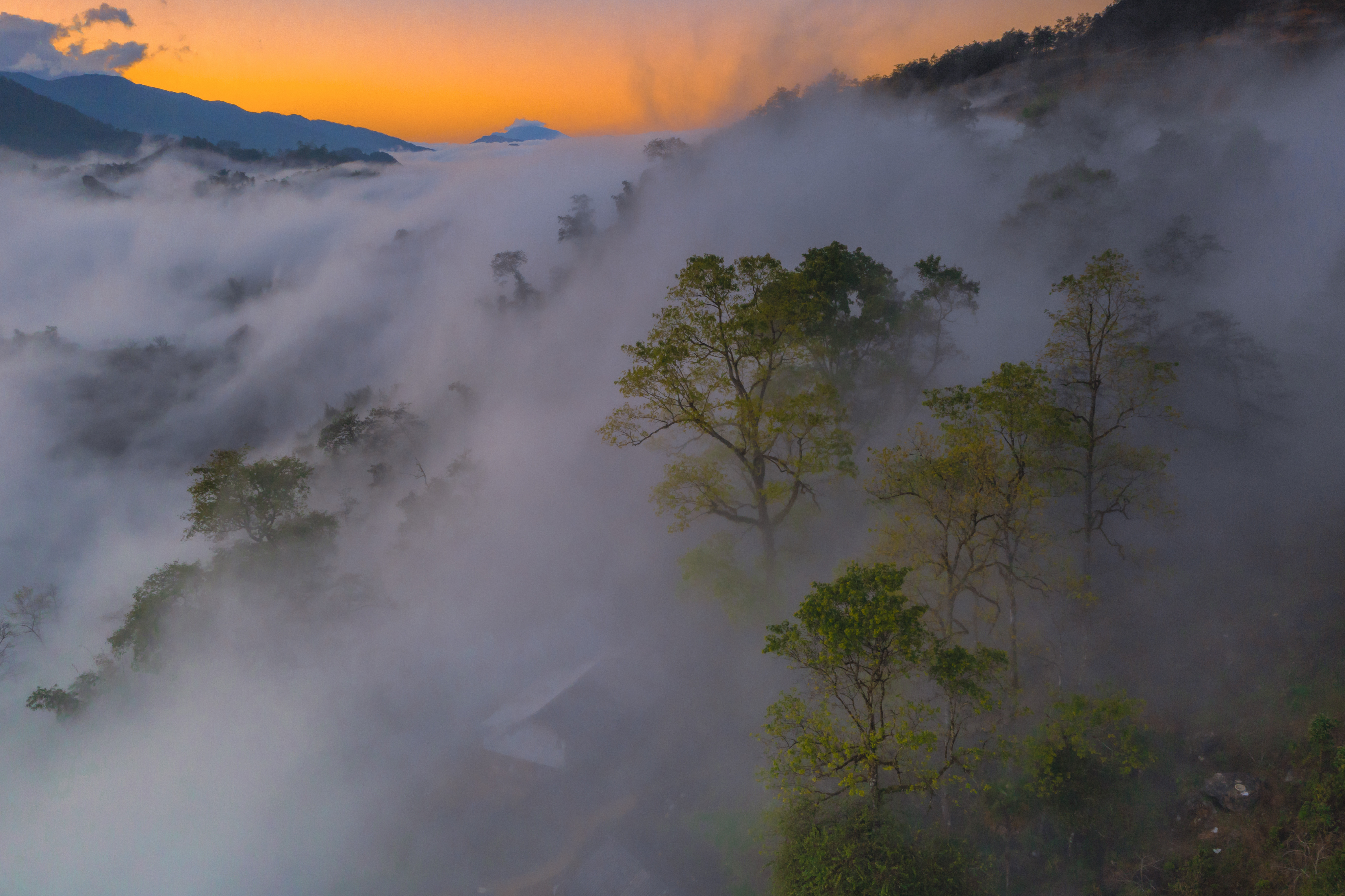 Winter in the "foggy land" Sa Pa