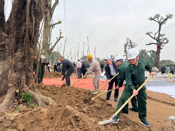 En 2024, Shinec plantará más de 3.000 árboles nuevos en el Parque Industrial Nam Cau Kien.