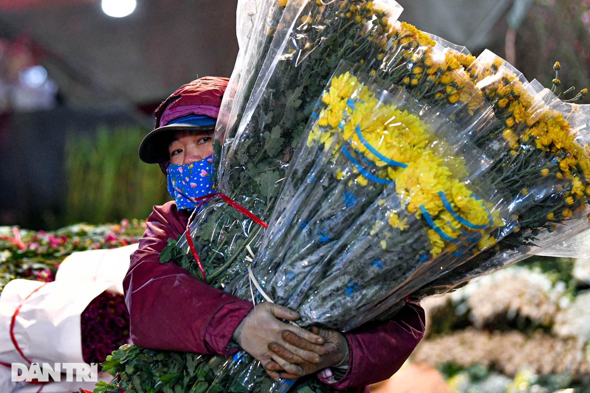 Chợ hoa lớn nhất ở Hà Nội họp xuyên đêm trong giá lạnh dưới 10 độ C - 2