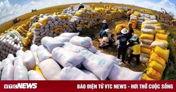 Las exportaciones de arroz de Vietnam superan los 8 millones de toneladas