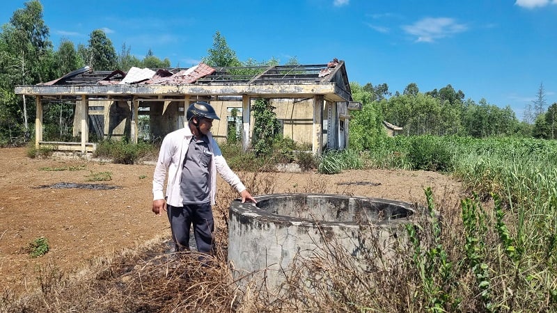 Área de reasentamiento y cientos de parcelas de tierra en Quang Ngai abandonadas durante más de 10 años