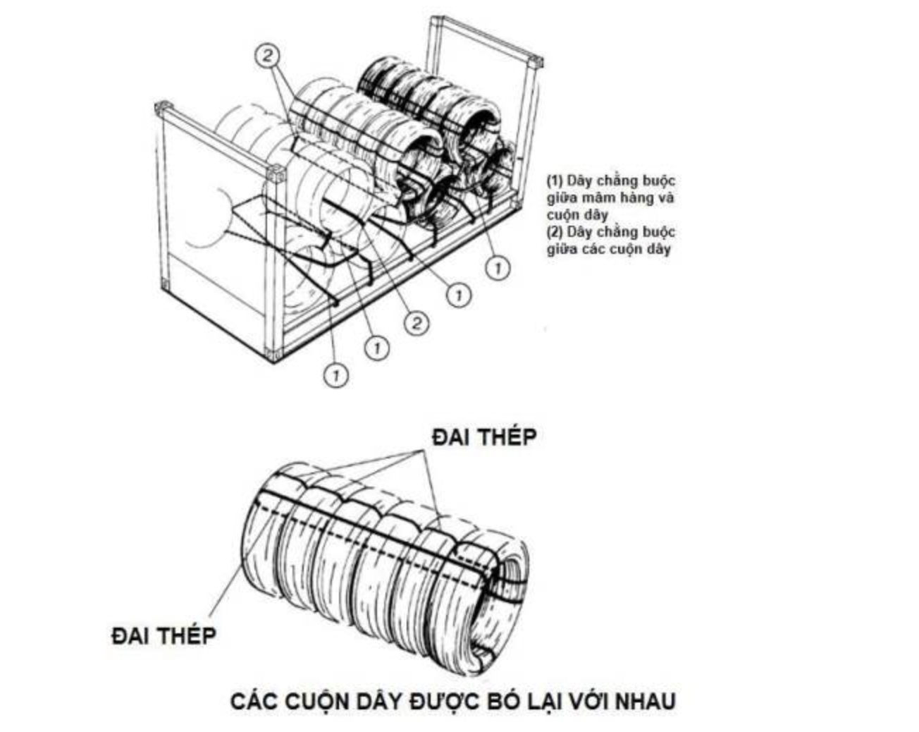 Xếp cây gỗ tròn trên xe thế nào để đảm bảo an toàn giao thông?- Ảnh 3.