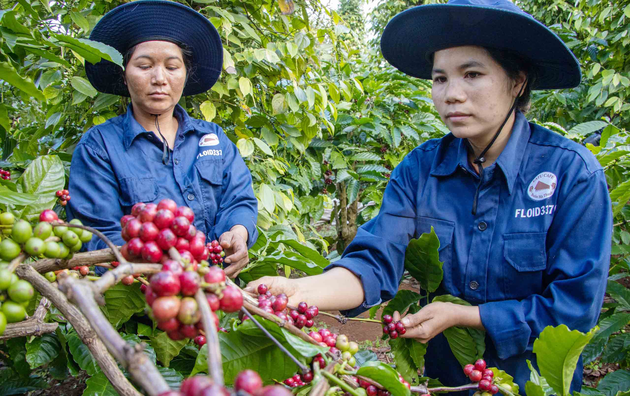 Nhiều ngành bứt tốc ngay từ đầu năm- Ảnh 1.