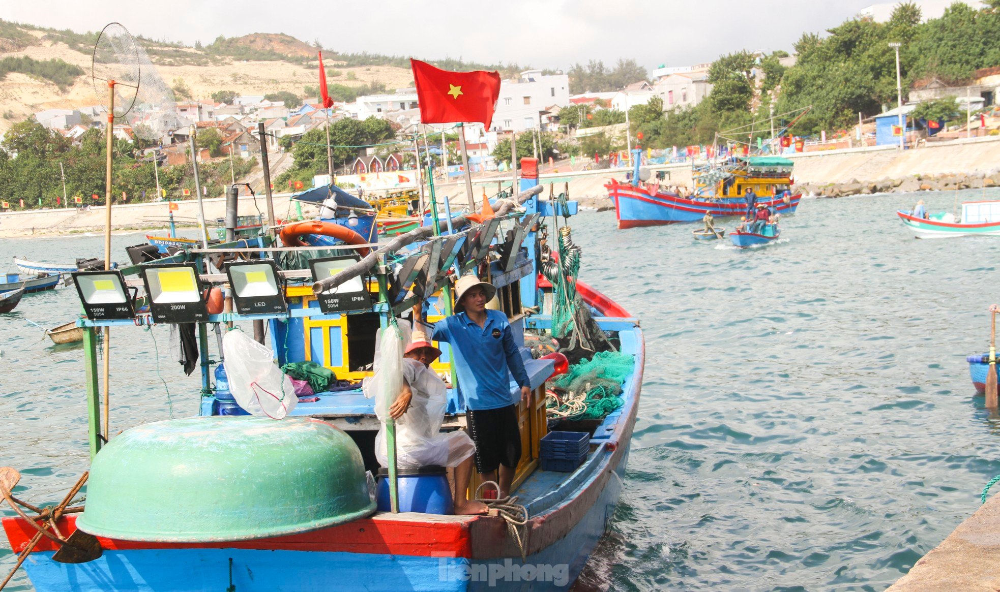 Ngư dân Bình Định trúng đậm lộc biển, thu 225 tấn ruốc, cá cơm sau 3 ngày ảnh 8