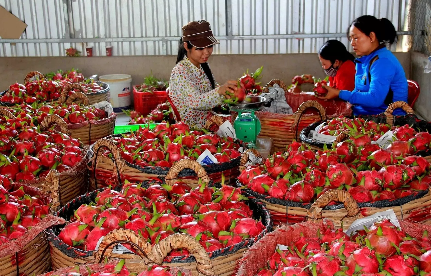 การนำเข้าและส่งออกเพิ่มขึ้นอย่างมากในตลาดสำคัญหลายแห่ง