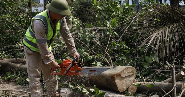 労働者がチェーンを切断したが、ハノイの公園には倒木がまだ散乱している