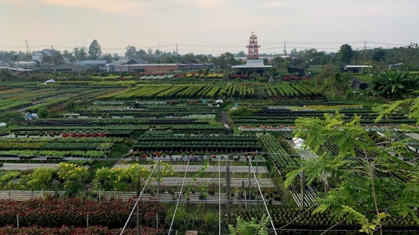 El pueblo de las flores de Sa Dec, famoso en Occidente, está muy animado durante la temporada del Tet