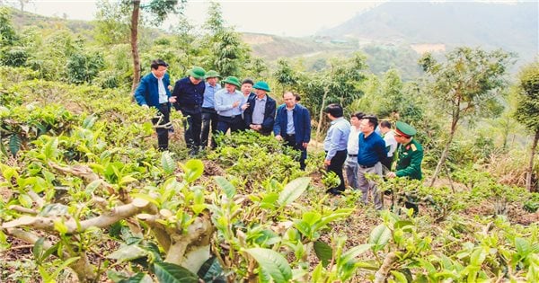 Đồng hành cùng người nghèo bằng những mô hình sinh kế