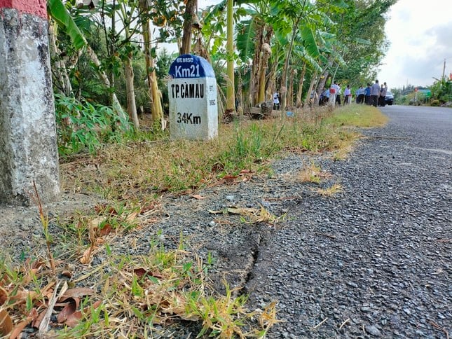 Hundreds of landslides and subsidence locations due to drought in Ca Mau photo 7