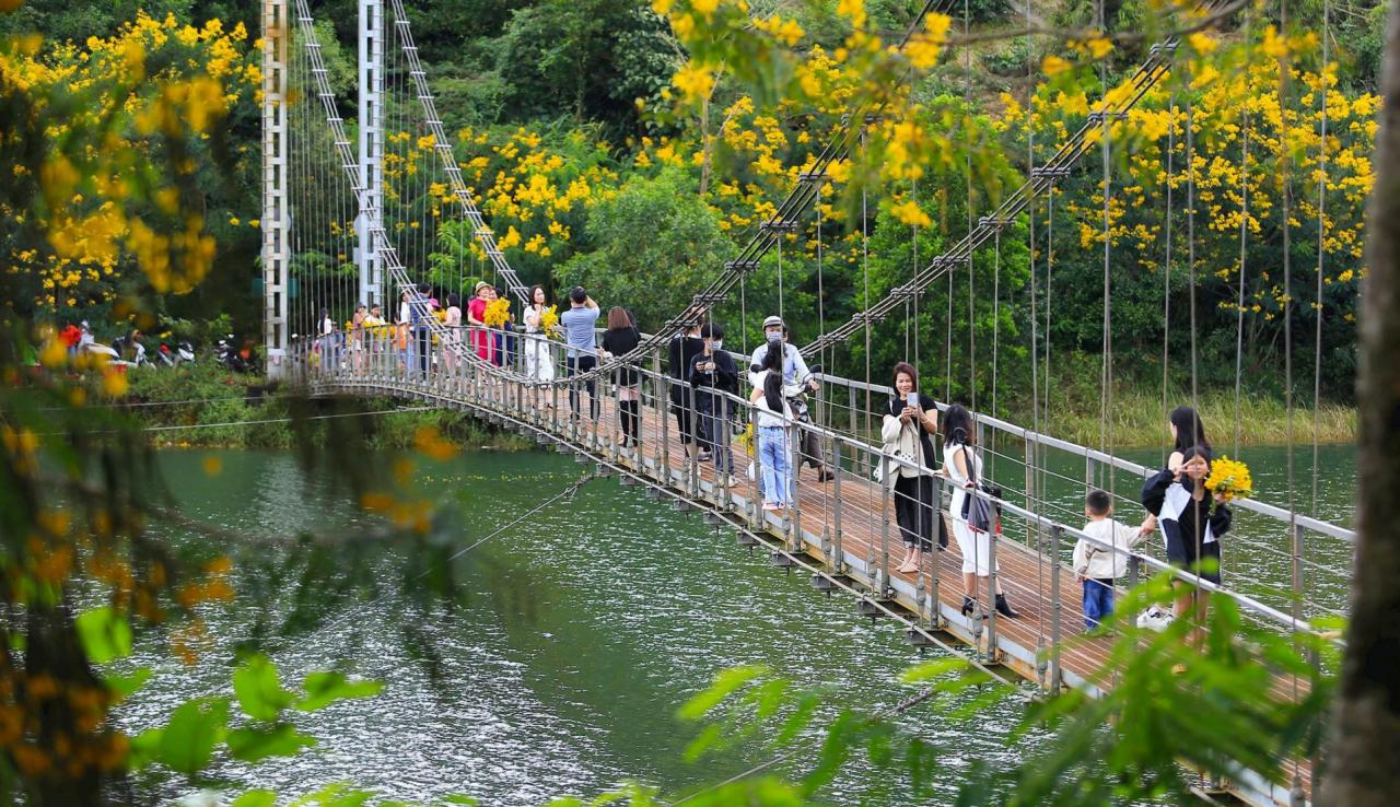 The bridge lies in the middle of the vast space of the forest. Photo: Le Phuoc