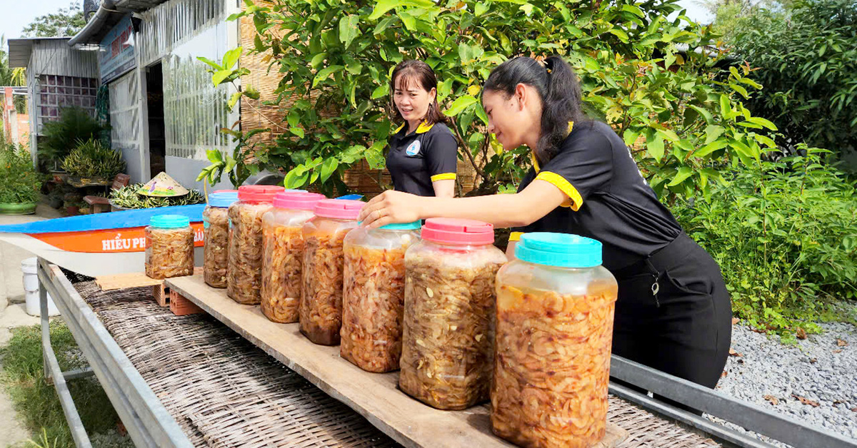 Escasez de materias primas cerca del Tet, los precios de los productos secos en Occidente fluctúan fuertemente