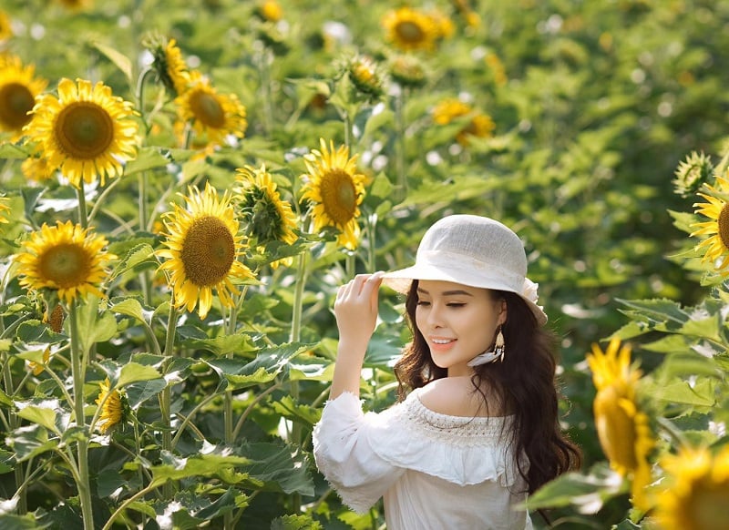 Si quieres entrar al jardín de flores en la playa de piedra Río Rojo para fotografía Tienes que pagar Foto: Internet