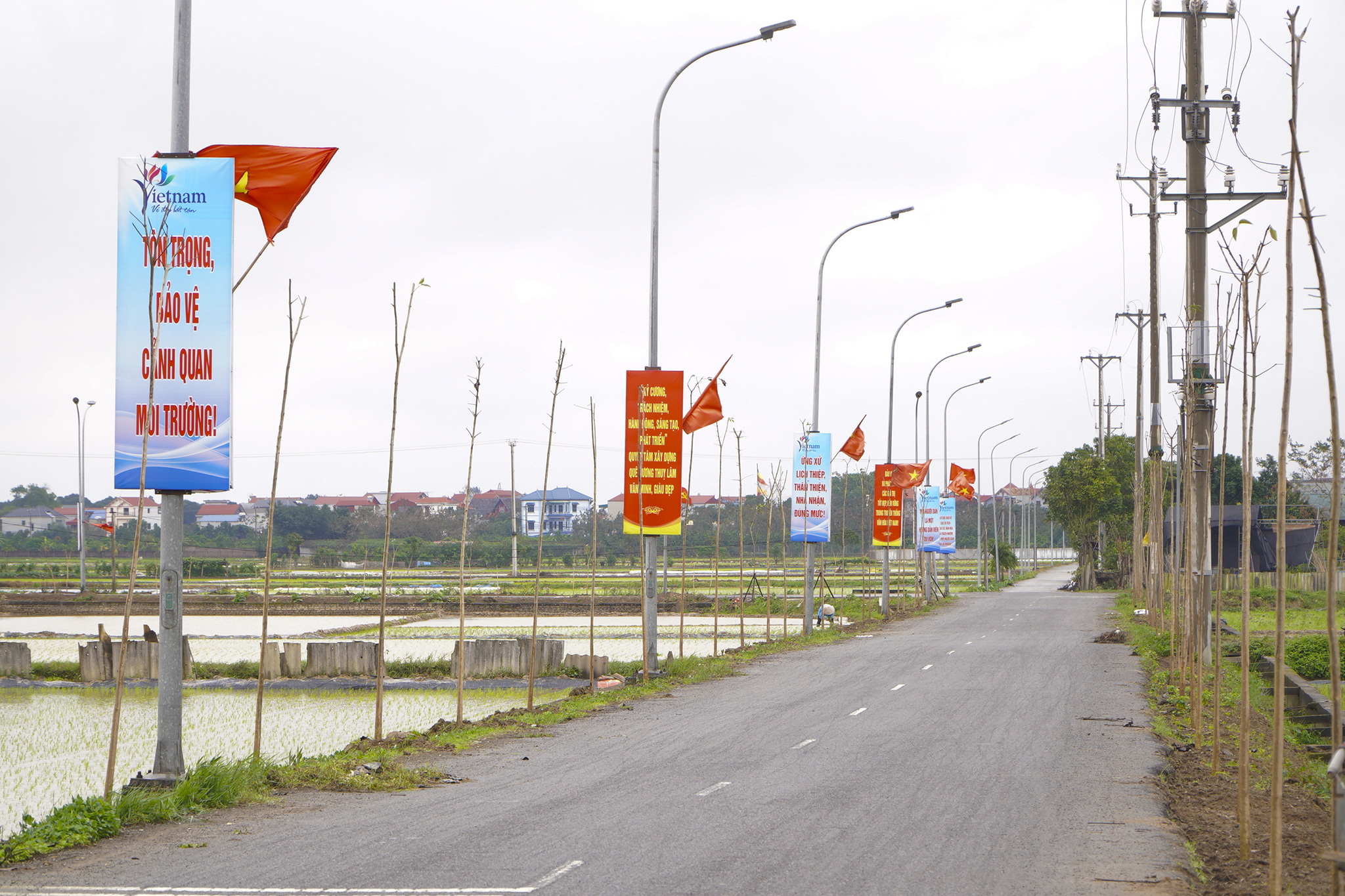 Hanoi : Lancement du festival de plantation d'arbres « À jamais reconnaissant envers l'oncle Ho » au printemps de Giap Thin 2024 dans le district de Dong Anh -0