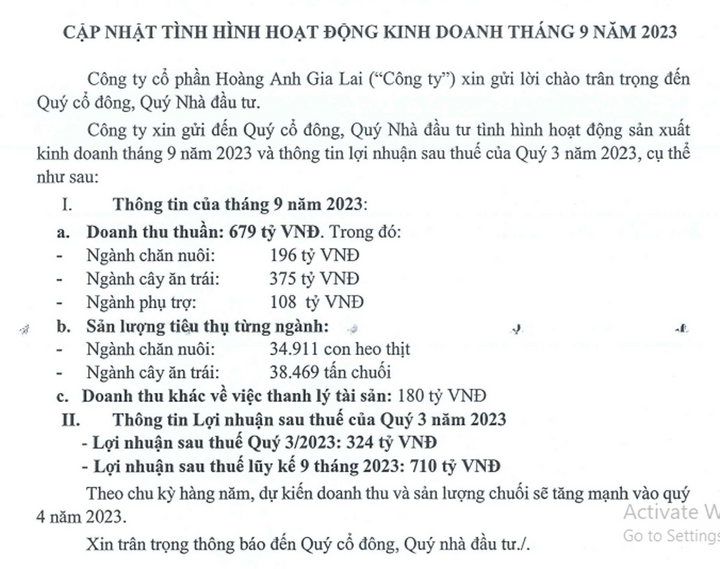 Hoang Anh Gia Lai บันทึกการชำระบัญชีสินทรัพย์ 180 พันล้านดอง