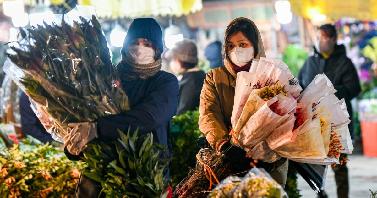 ตลาดดอกไม้ที่ใหญ่ที่สุดในฮานอยเปิดตลอดคืนในอุณหภูมิต่ำกว่า 10 องศาเซลเซียส