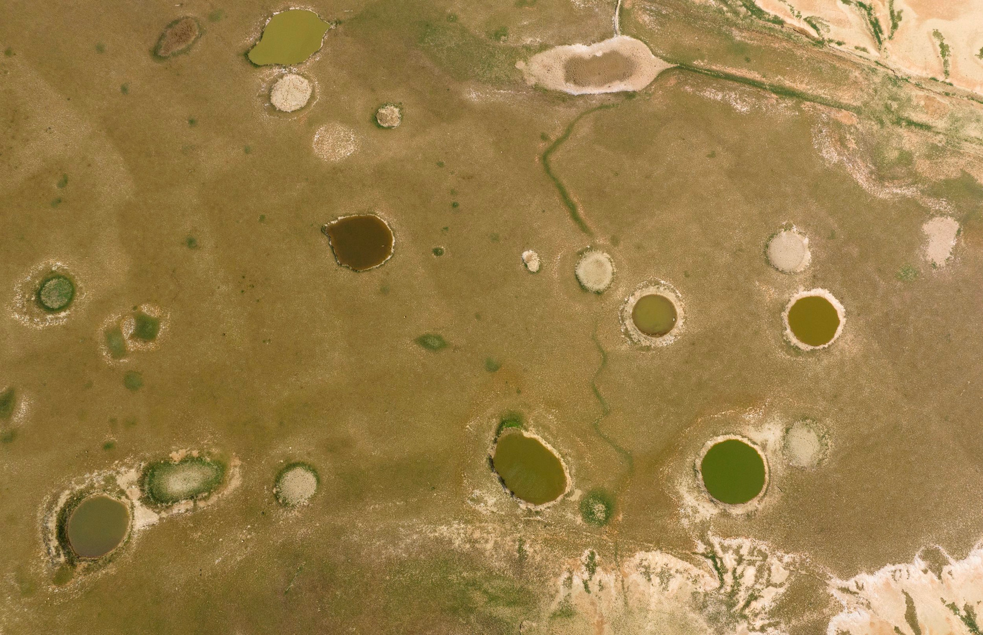 dji_0509.jpg