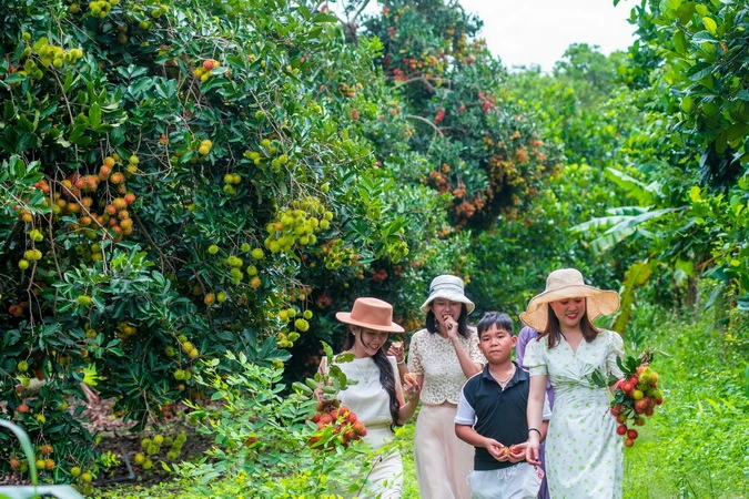 Dong Nai se esfuerza por hacer del turismo un sector económico importante foto 1