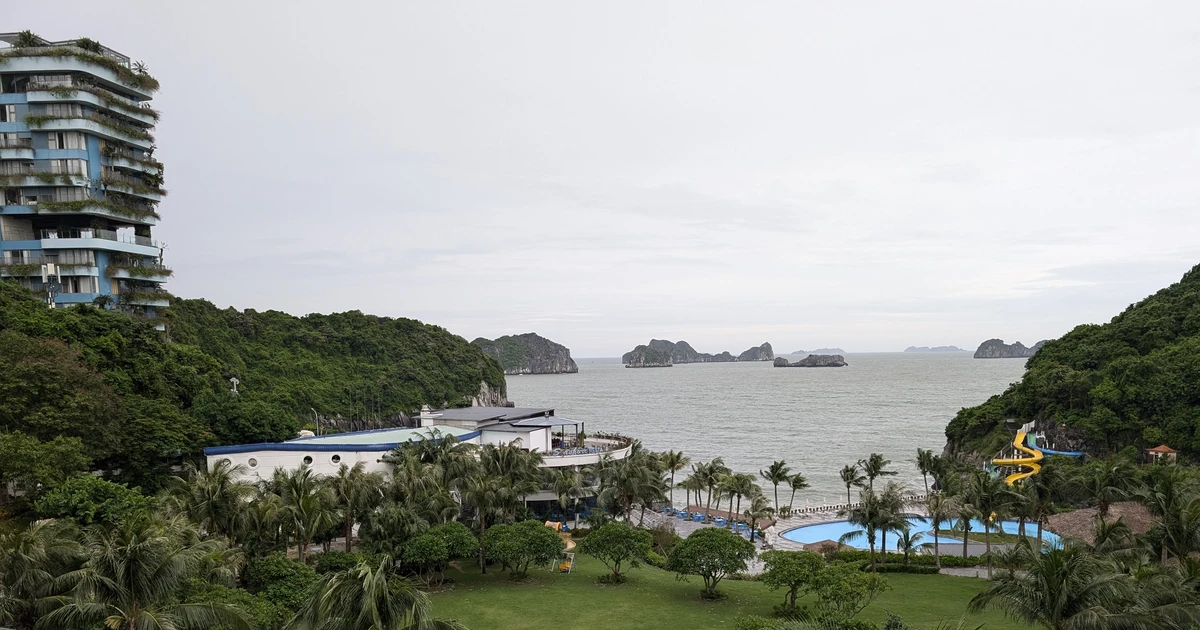 Hai Phong encourages 50% reduction in service prices for tourists stranded by storm