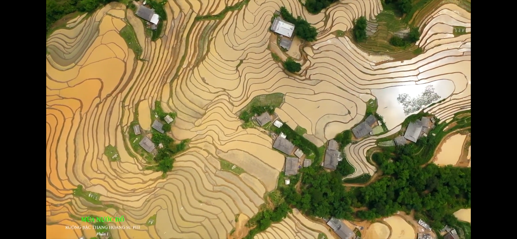 La belleza de la temporada de agua vertida en los campos en terrazas de Hoang Su Phi es irresistible.