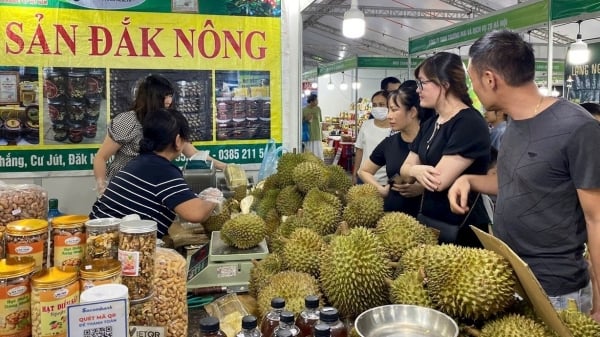 Les consommateurs de Hanoi préfèrent les produits spécialisés avec une origine claire, un nom de marque et des indications géographiques.