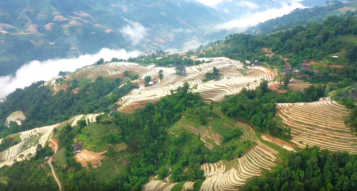 The beauty of the pouring water season of Hoang Su Phi terraced fields is irresistible