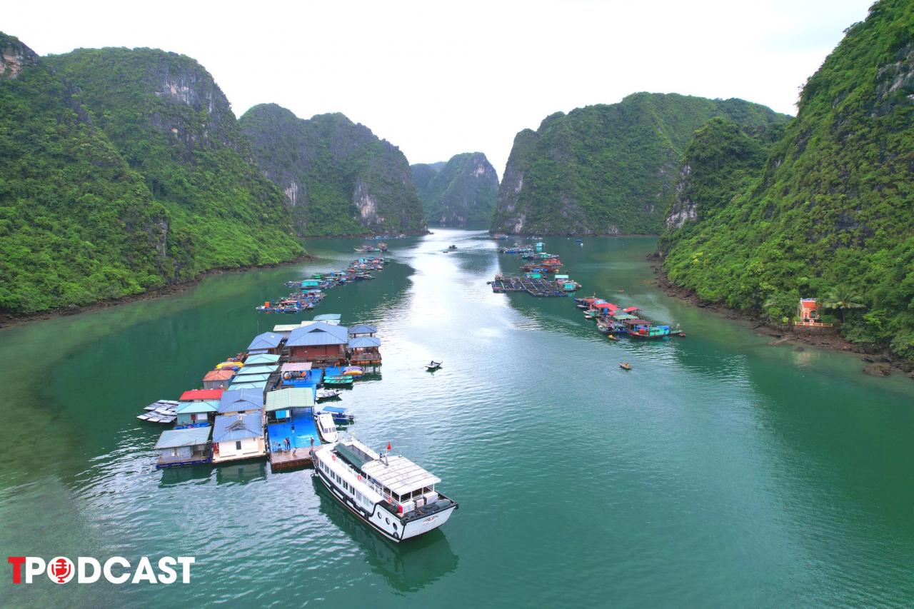 Quảng Ninh: 'Vịnh Hạ Long chưa bao giờ nằm trong danh sách Di sản lâm nguy'