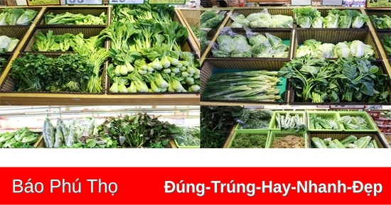 Giá cả một số mặt hàng tiêu dùng ngày 15/1/2025