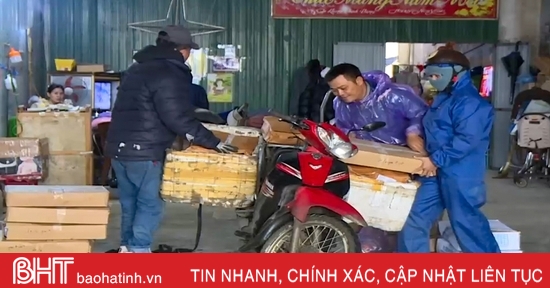 Cơ sở kinh doanh hải sản hối hả gom hàng phục vụ nhu cầu tết