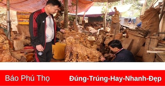 “Thổi hồn” cho gỗ lũa